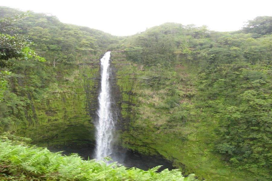 ../image/akaka falls 3.jpg